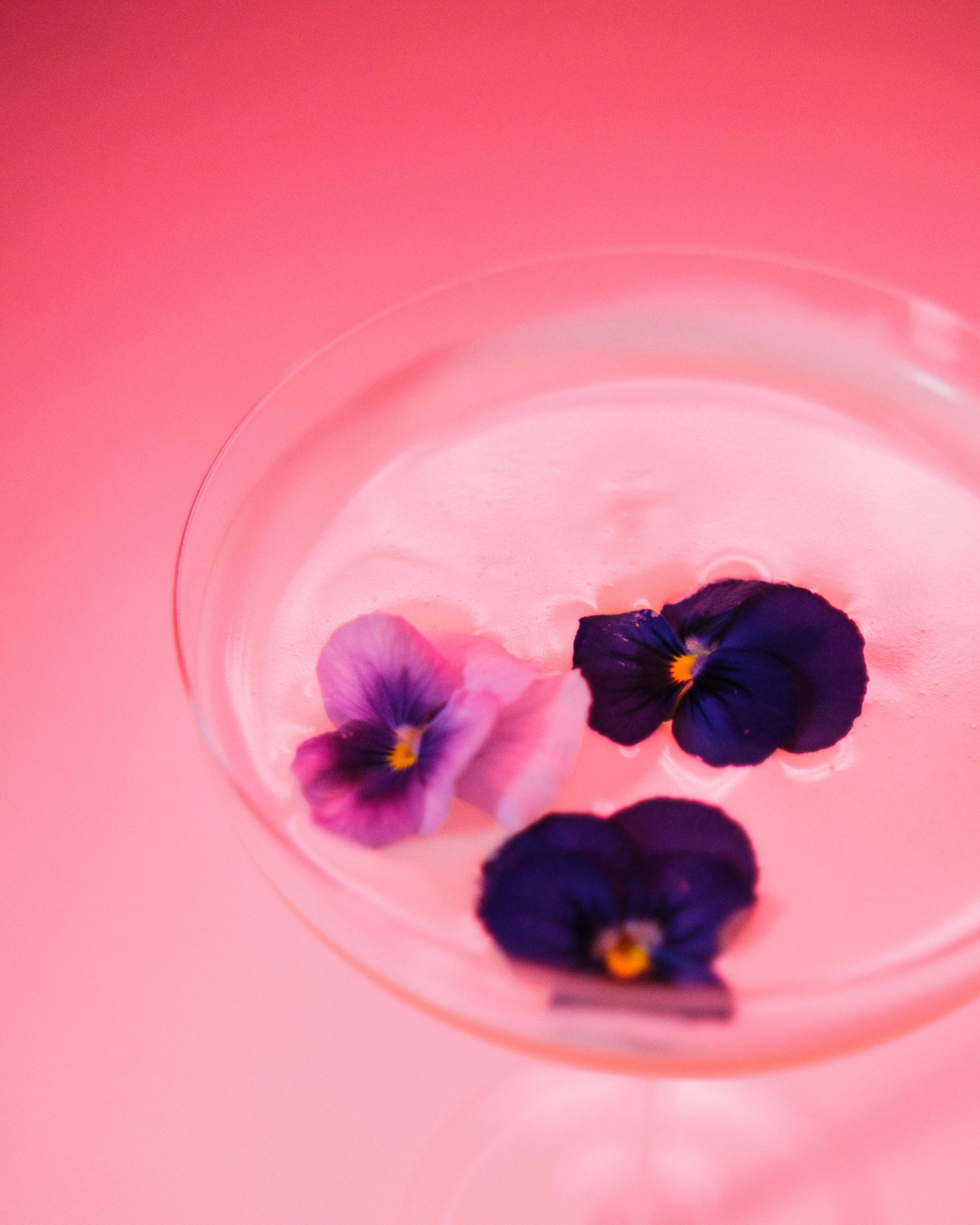 Explore the Captivating Art of Modern Gastronomy